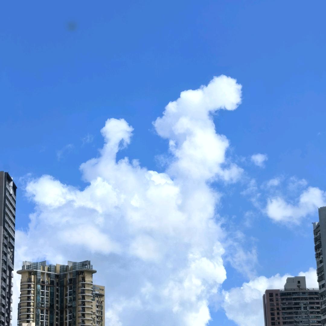 富贵蛋黄包（等待转正版）