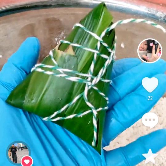 沭阳粽子姐《大娟子》