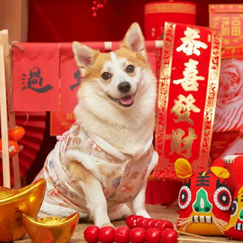 🇨🇳Wu期待🇭🇰