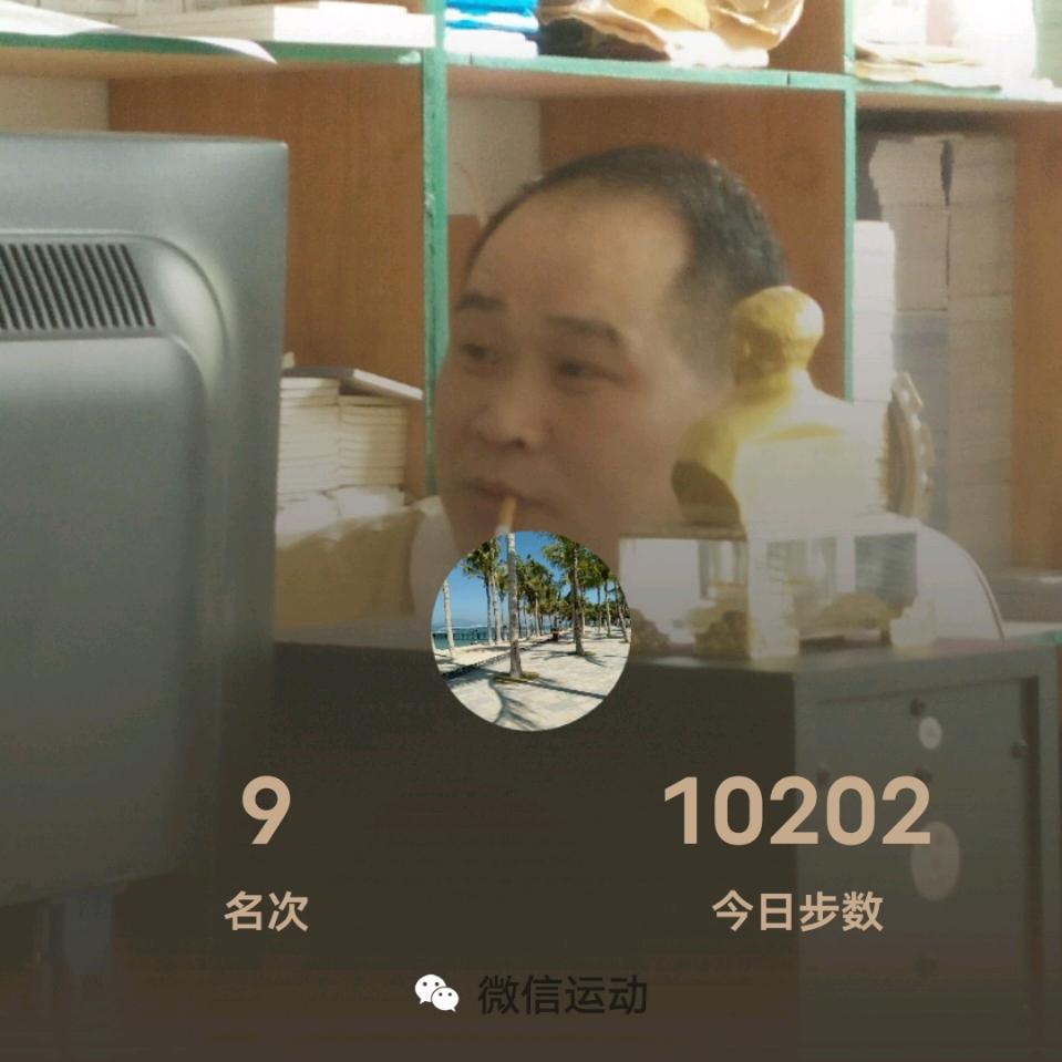 辉歌