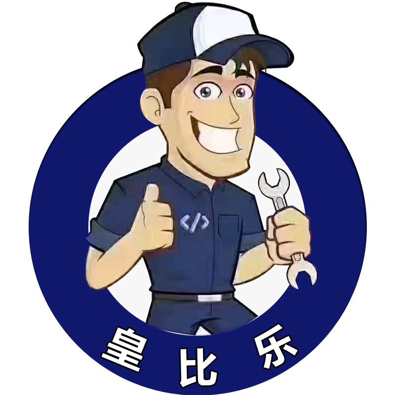 皇比乐科教积木