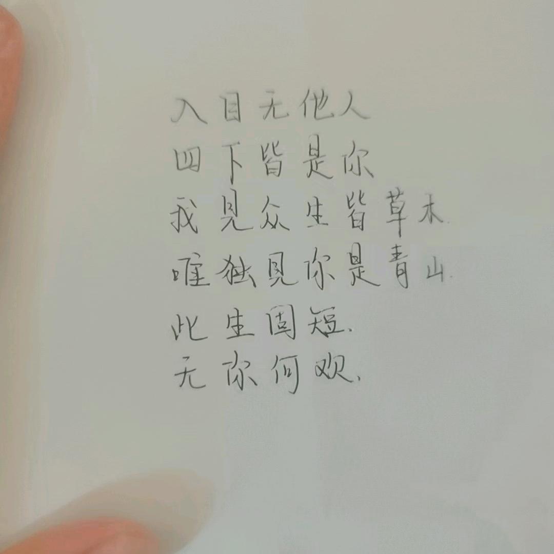 羊宝宝