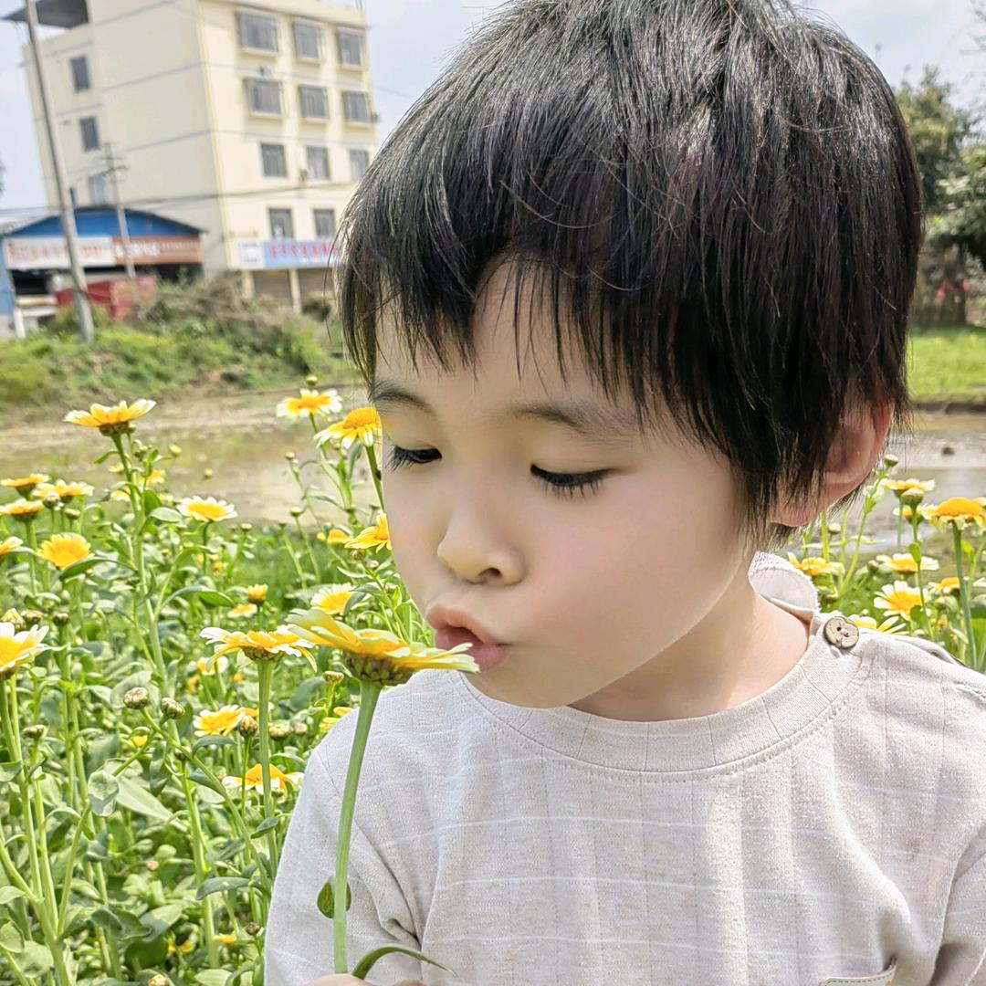 🌾如宝爱吃糖