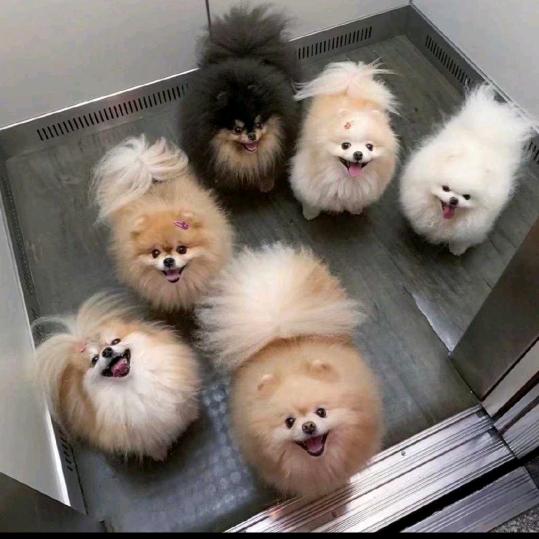幸福快乐每一天
