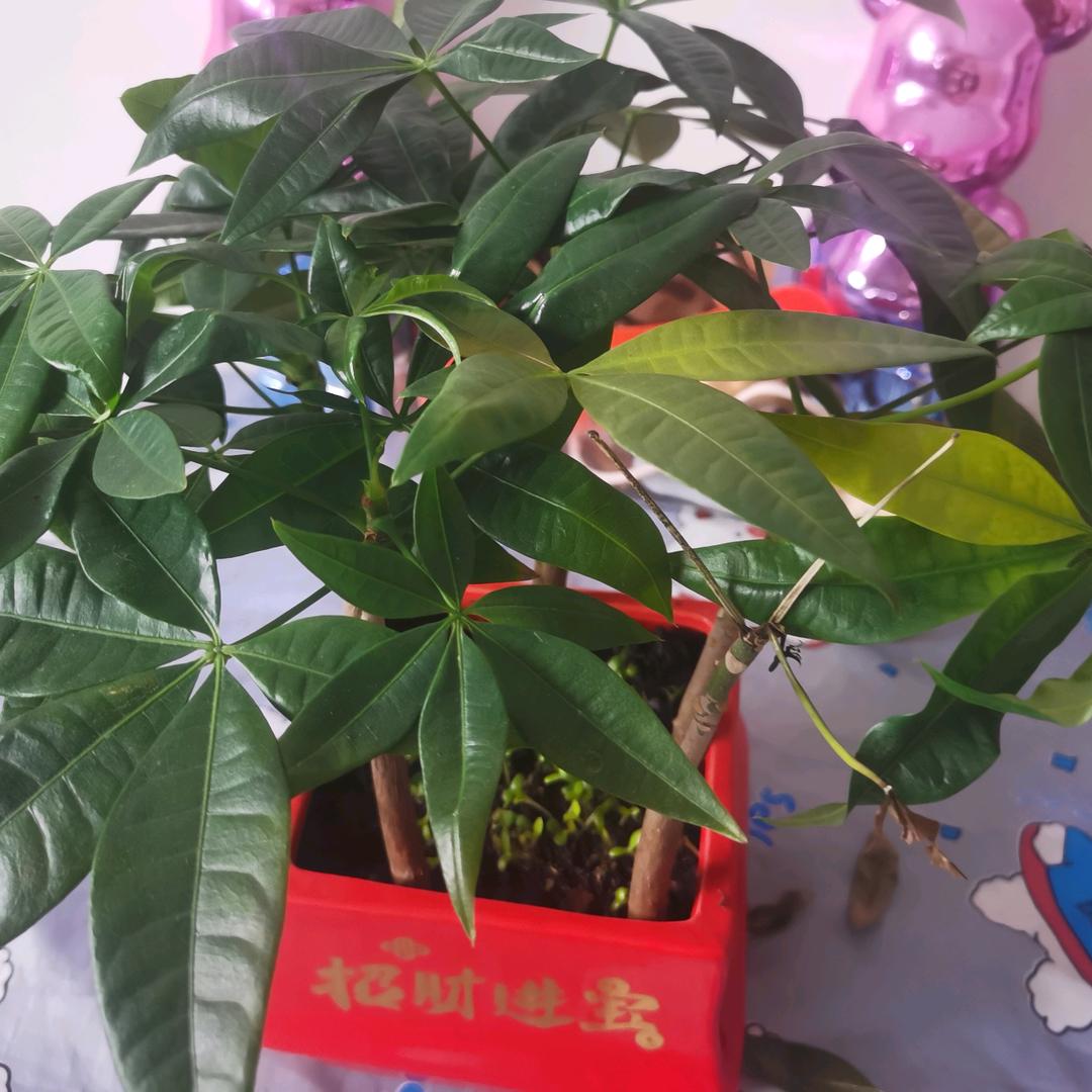 到此为止，重新开始