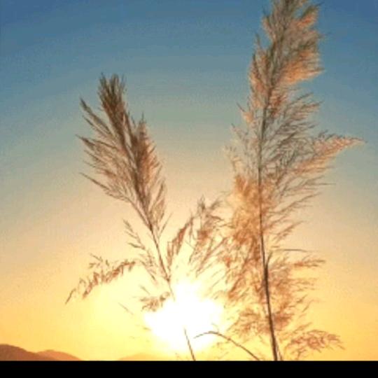 🌴酥姸👒(. ❛ ᴗ ❛.)