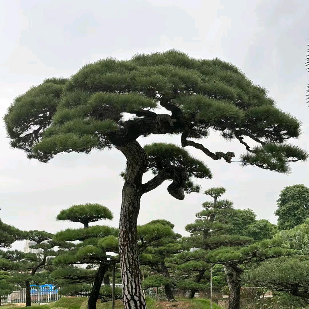 绿色生态农庄