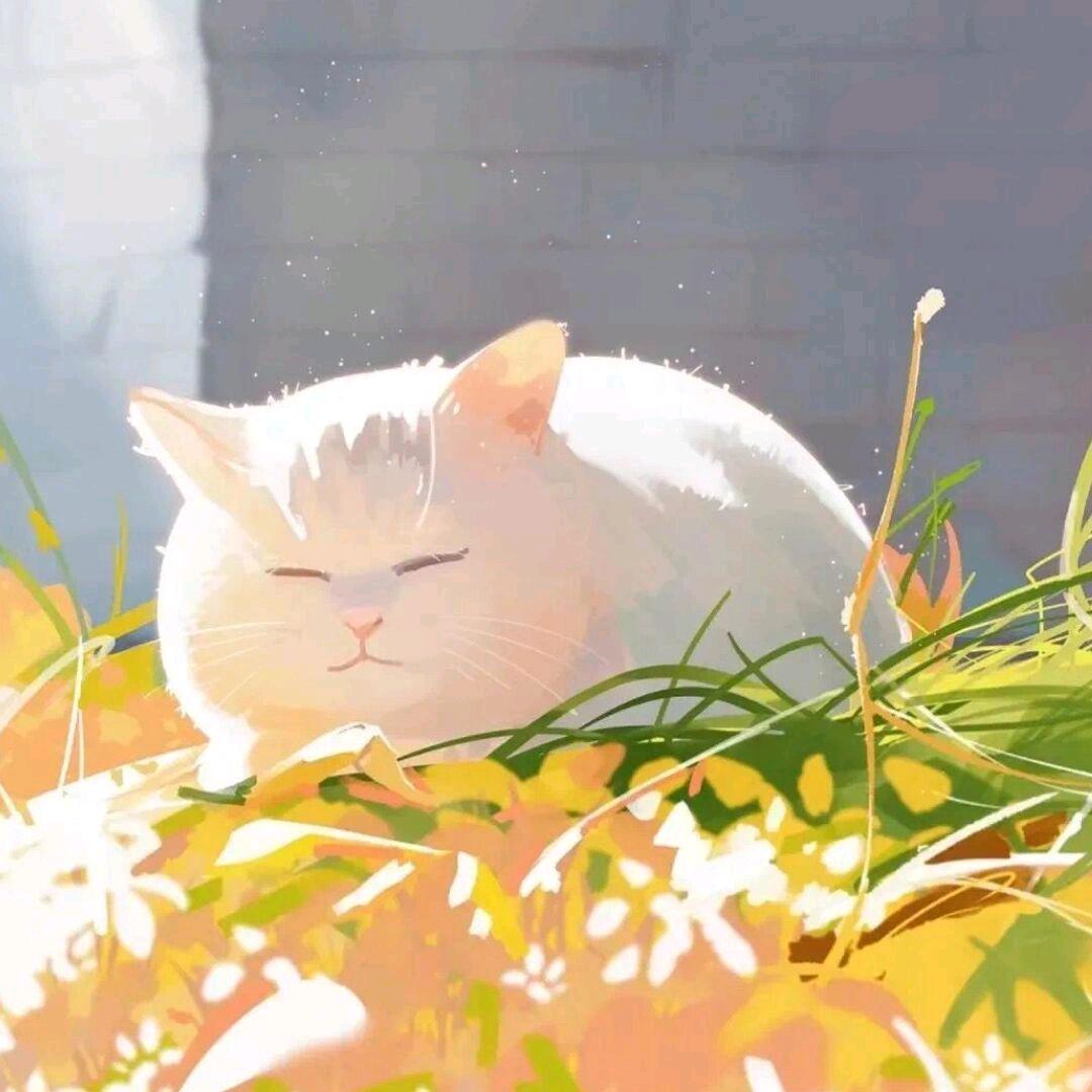 语秋丶