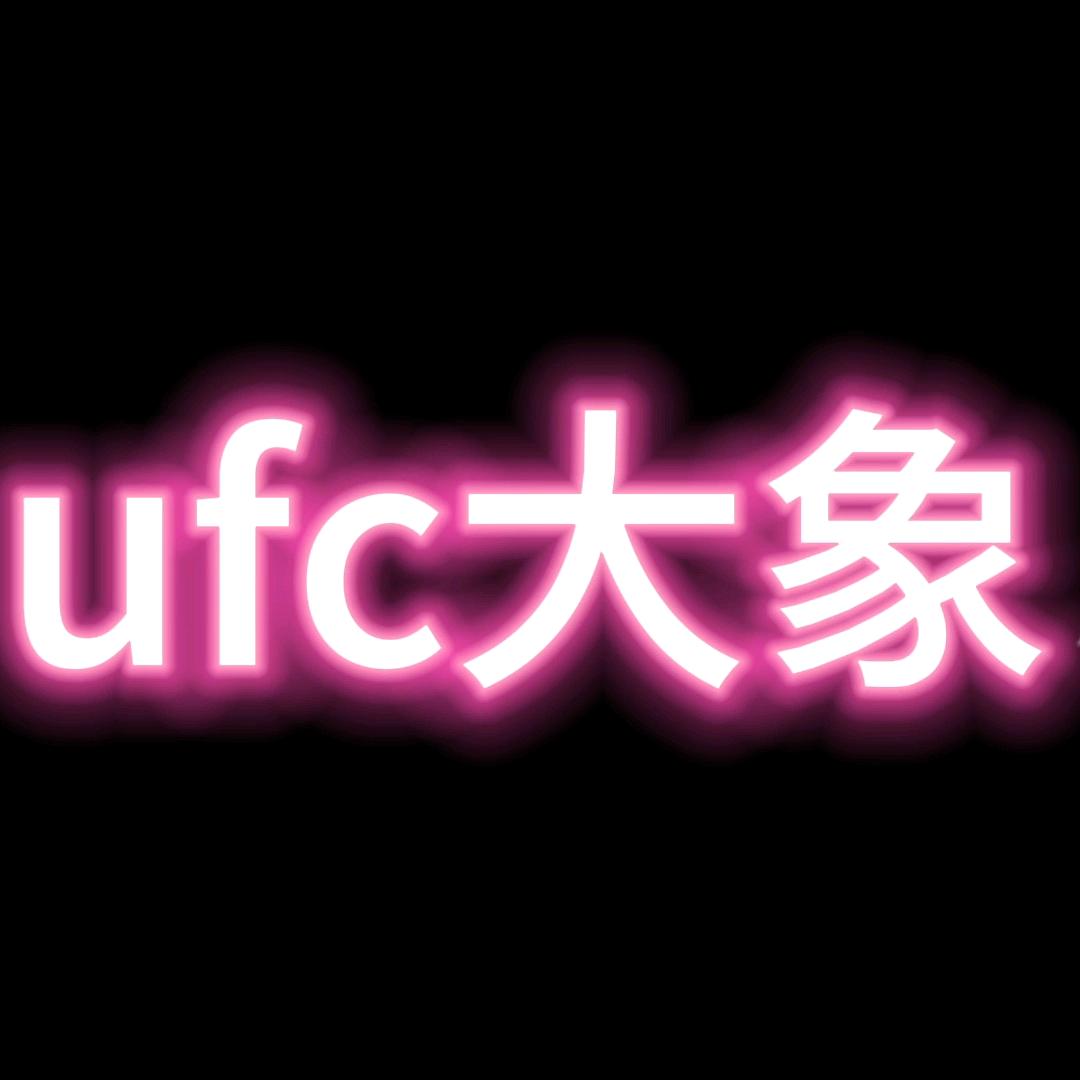 @格斗大象