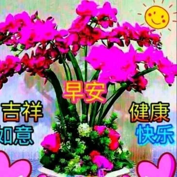 笑口常开好运来