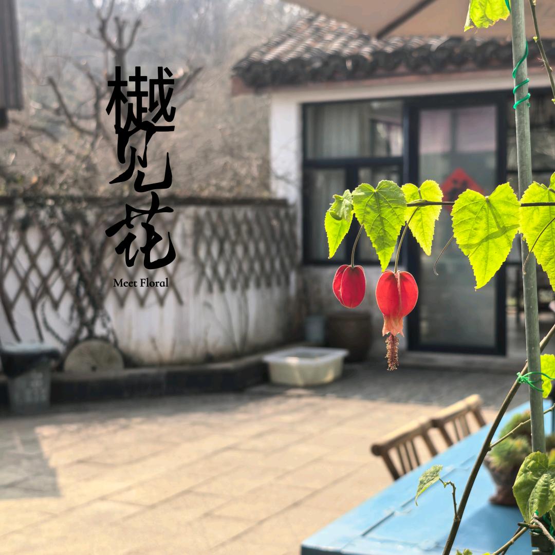 樾见花｜Meet Floral