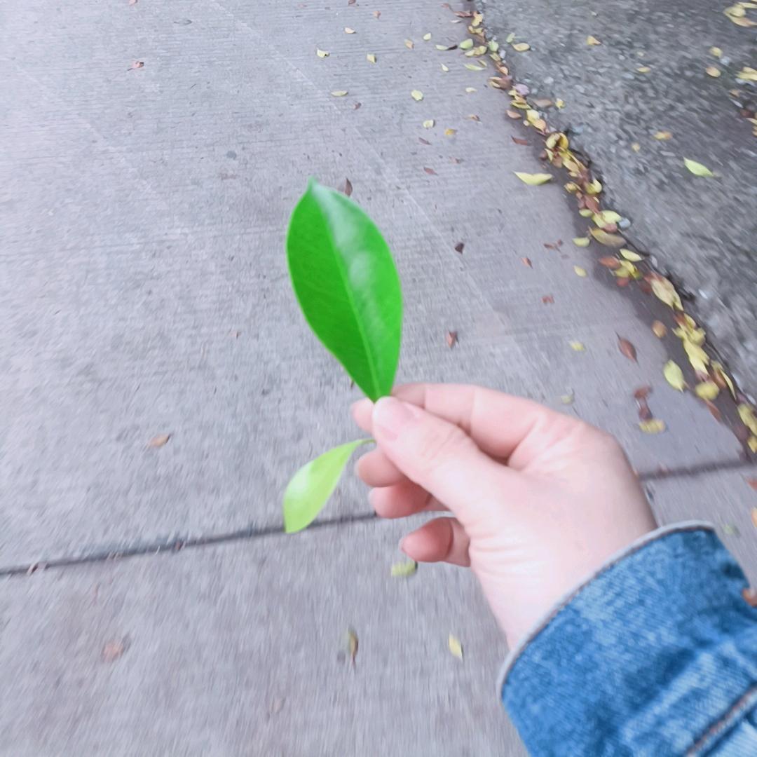 @Lin🌻