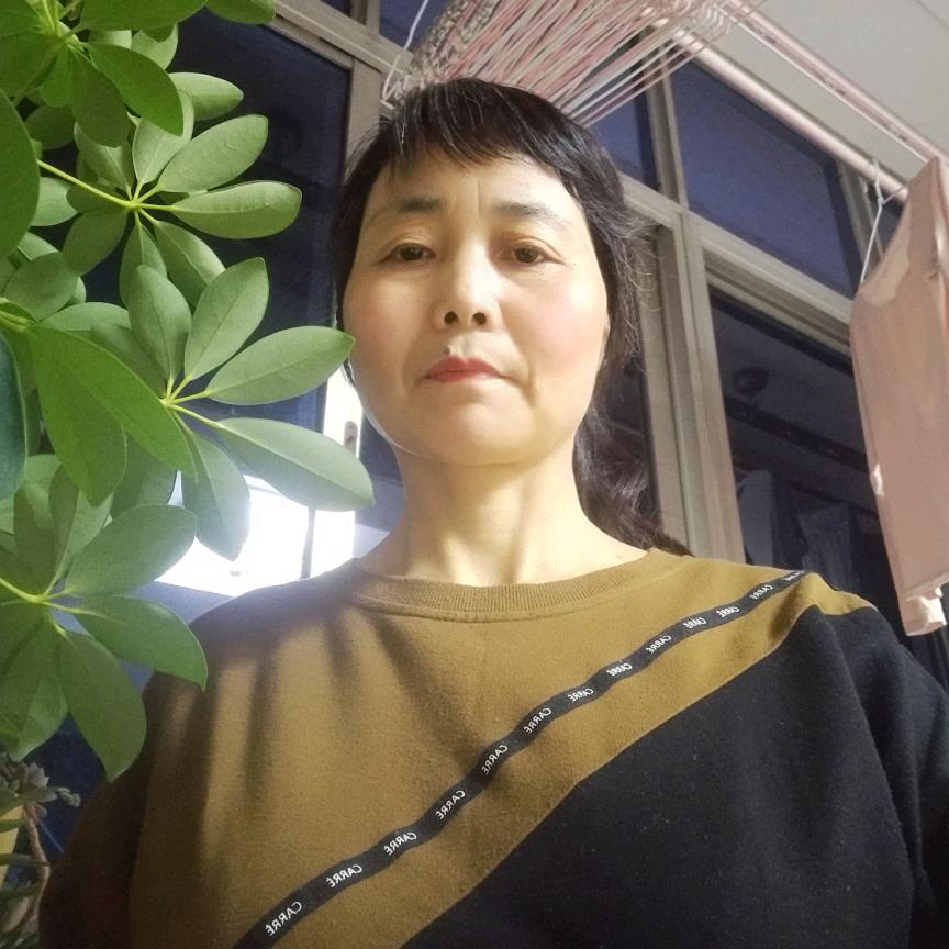 杨姐(橱窗好物)