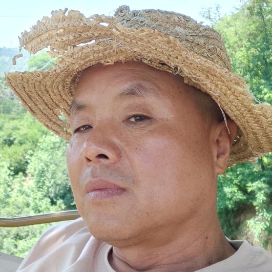 队长二哥