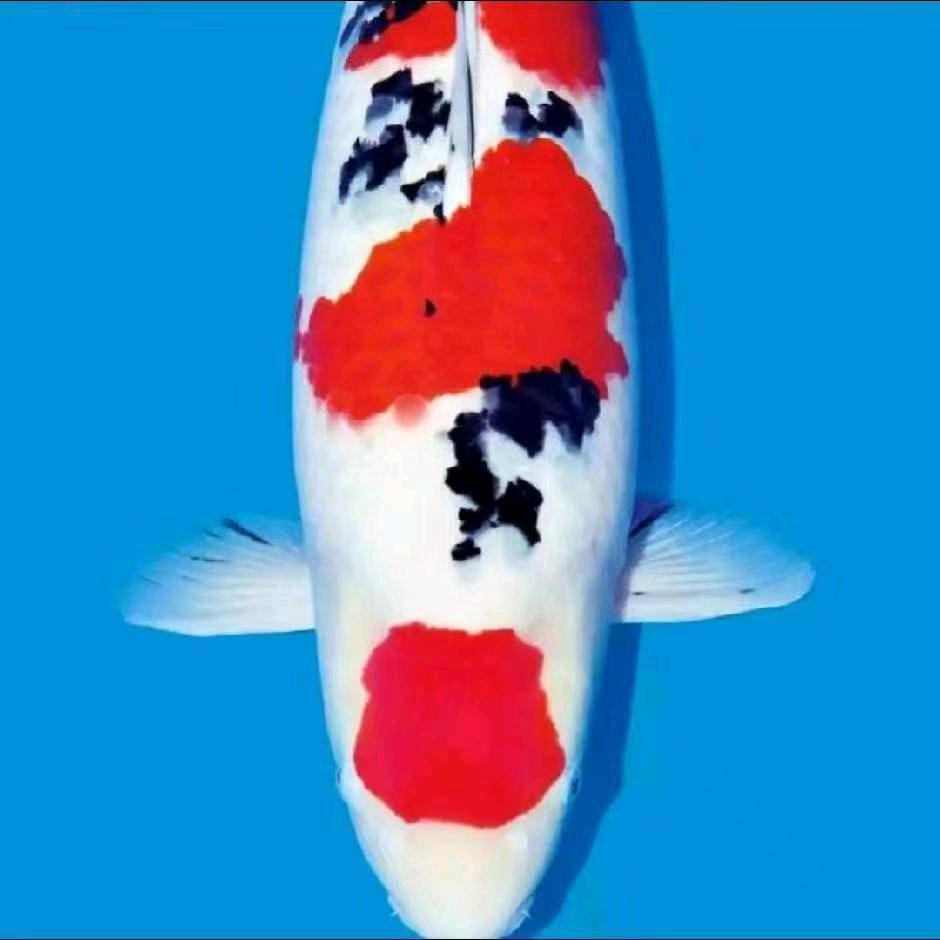 @桐乡景之源园林绿化工程有限公司