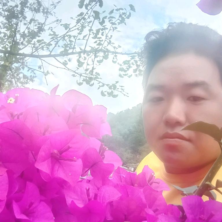 傈僳阿迪