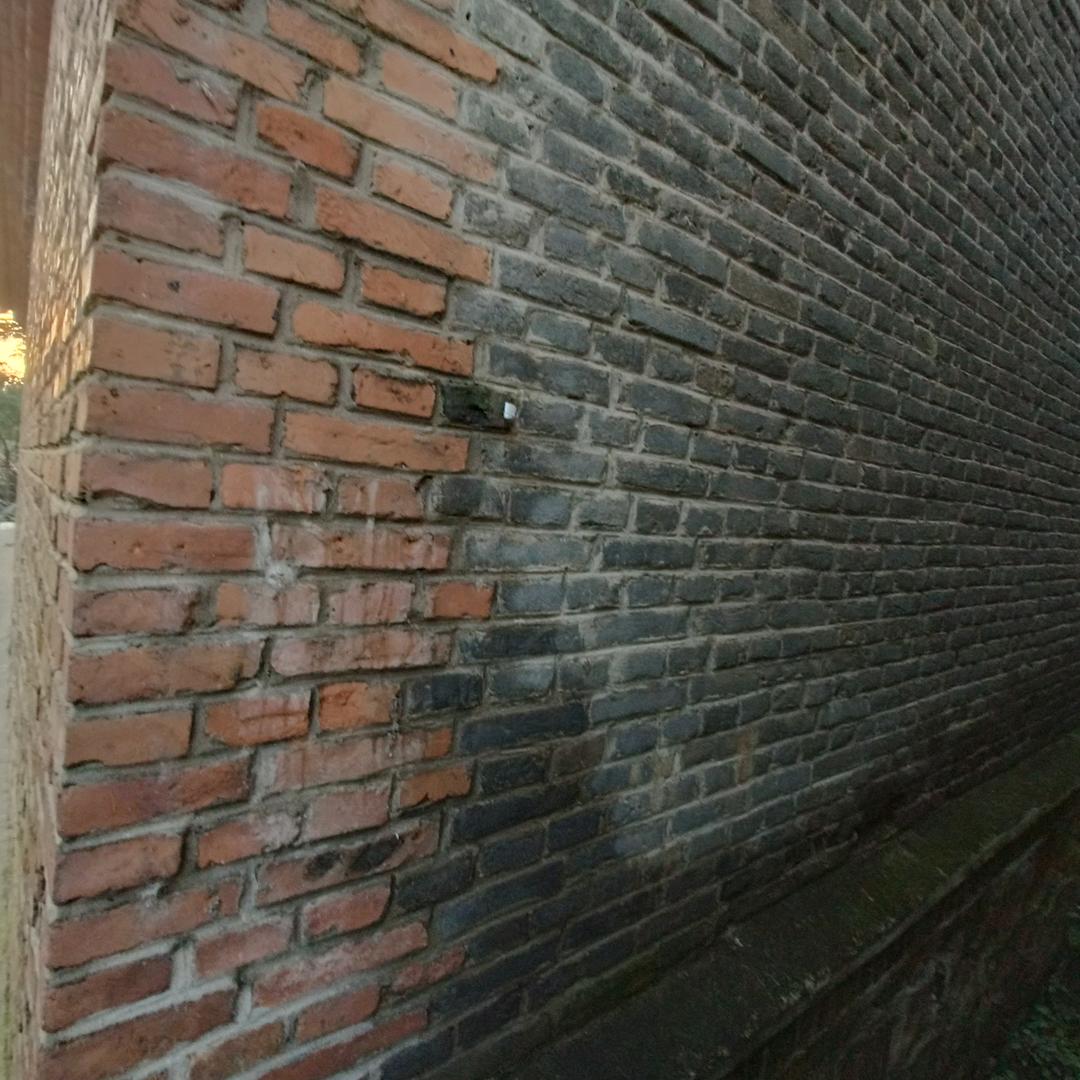不只去像