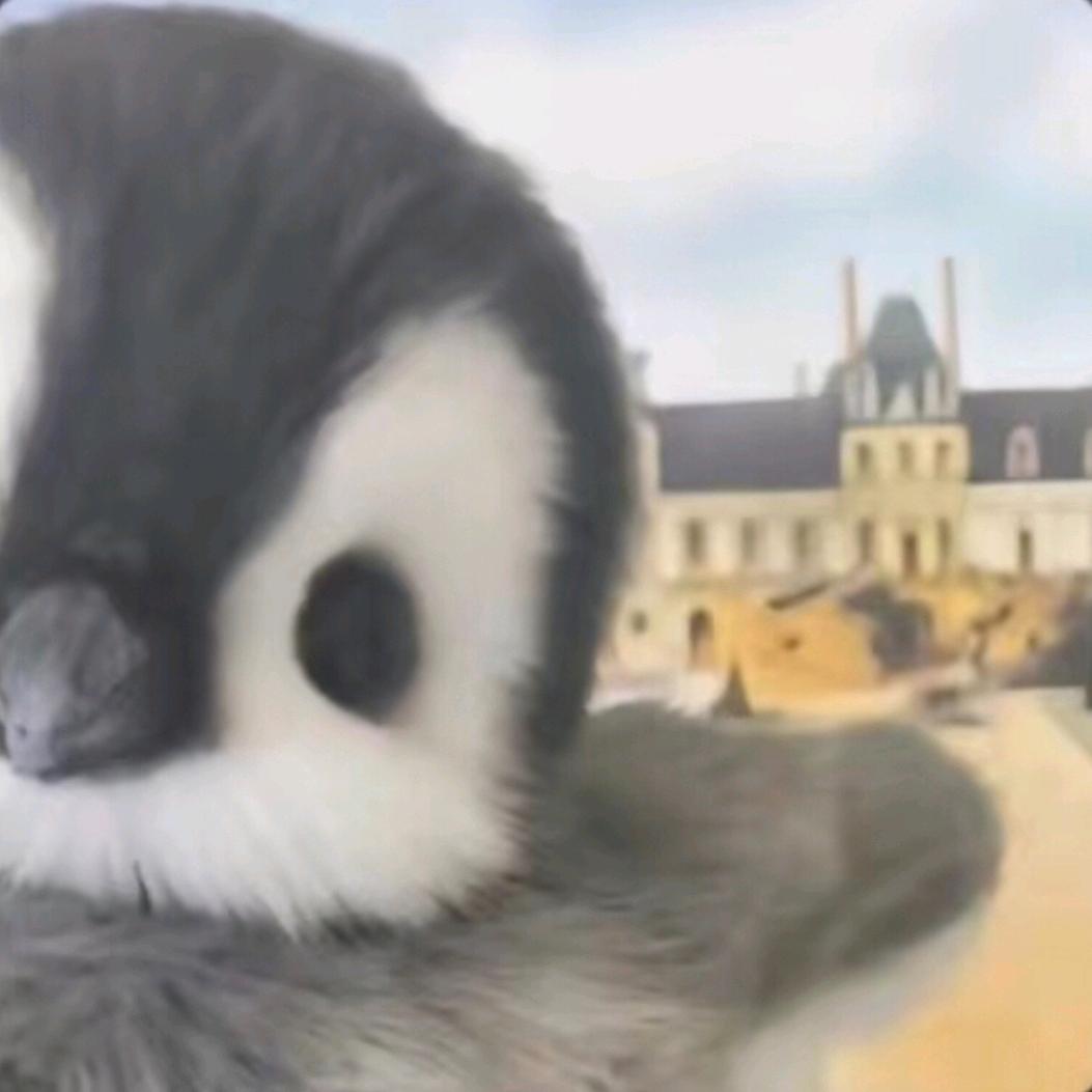 Sʜᴀᴅᴏᴡ . ₪