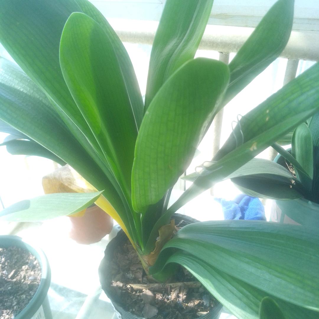 这茶味有点怪怪的