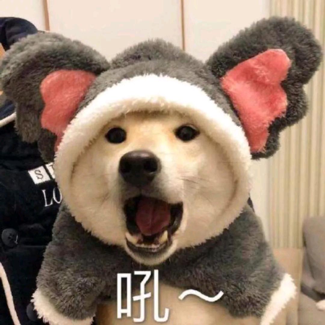 邋遢大王🐾
