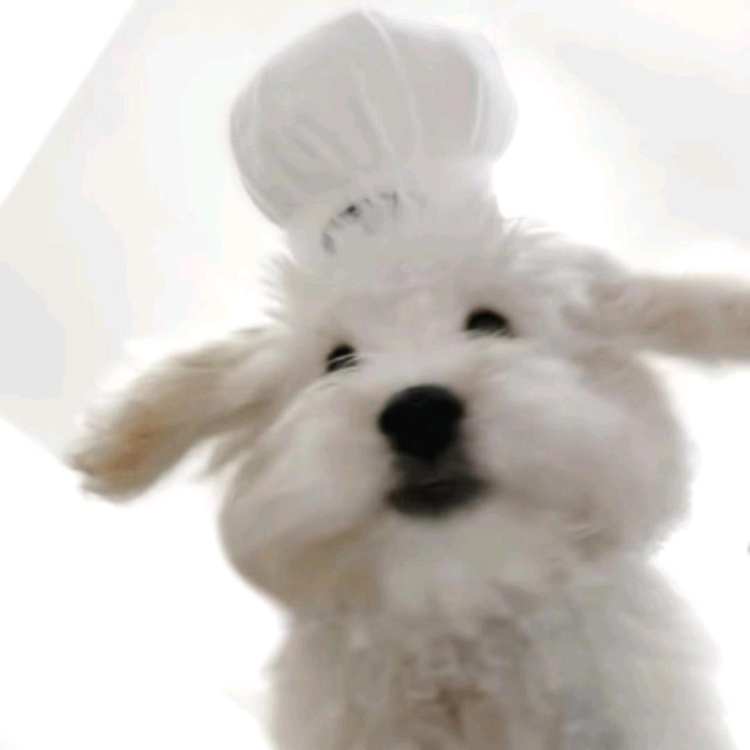璐子.^