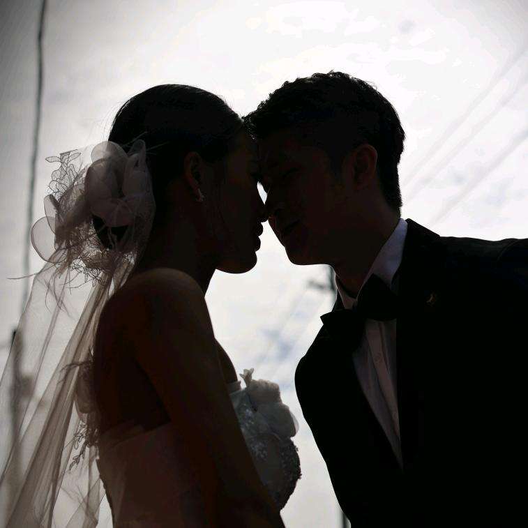 多鱼先生（硬装中）