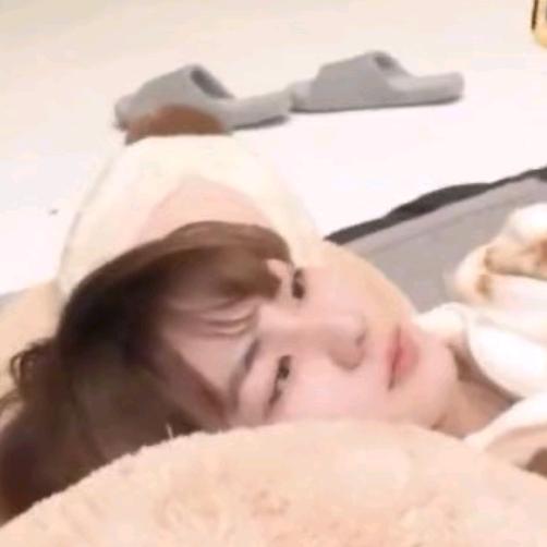 一元小狗