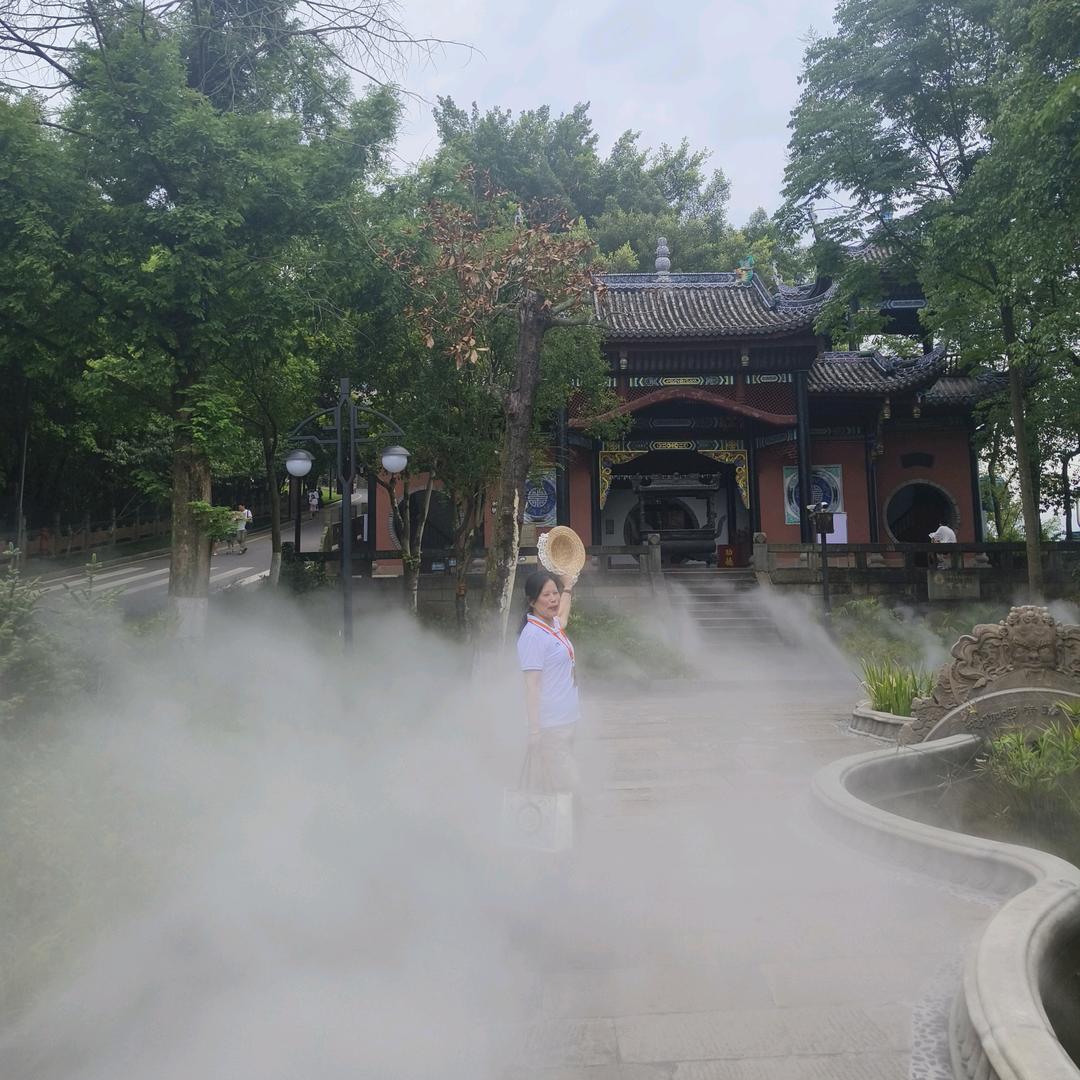 冬之梅