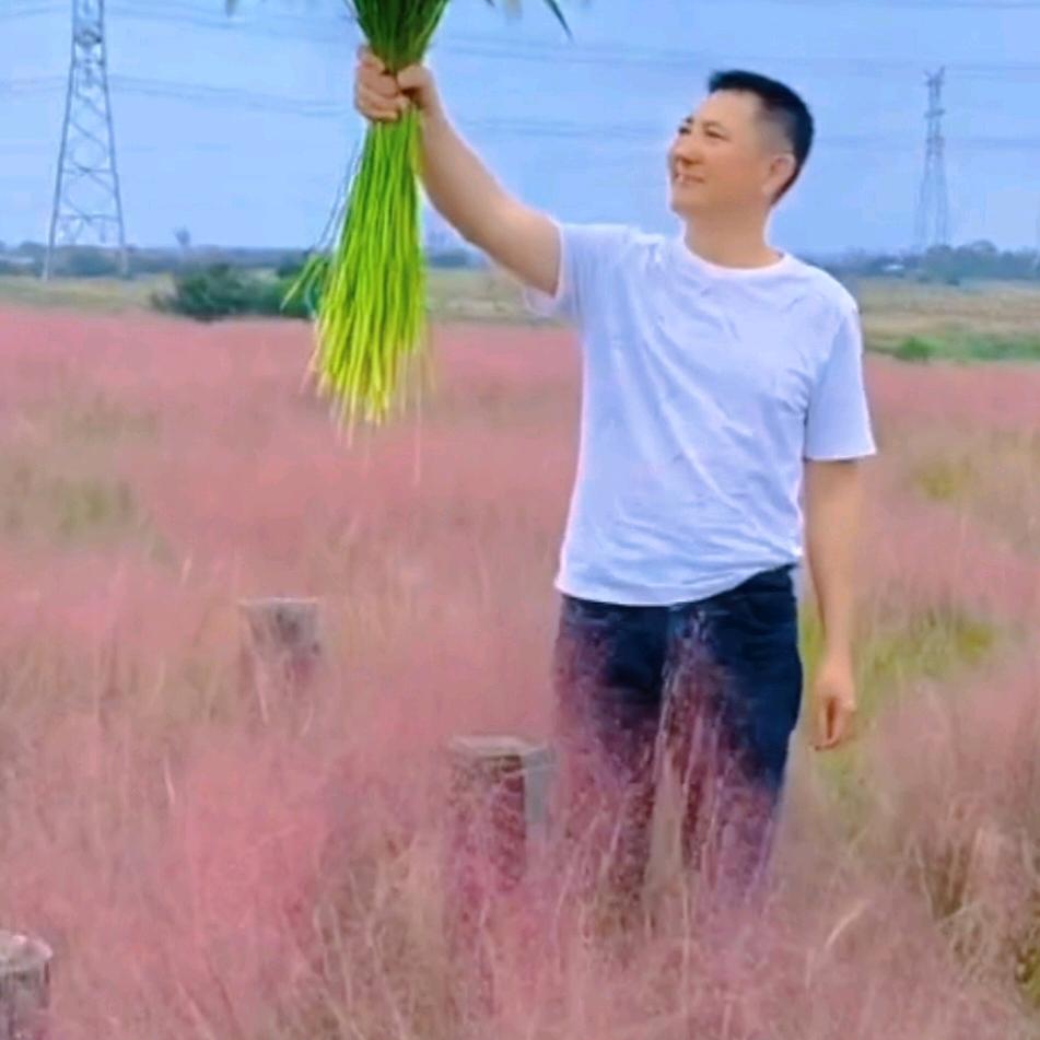 心有繁星