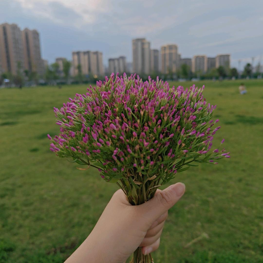 阳光下微笑