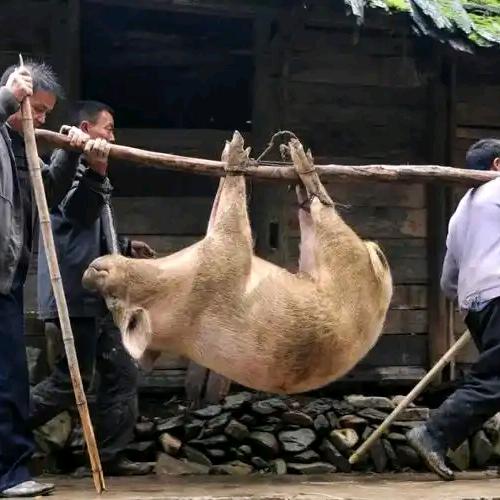 小心地滑