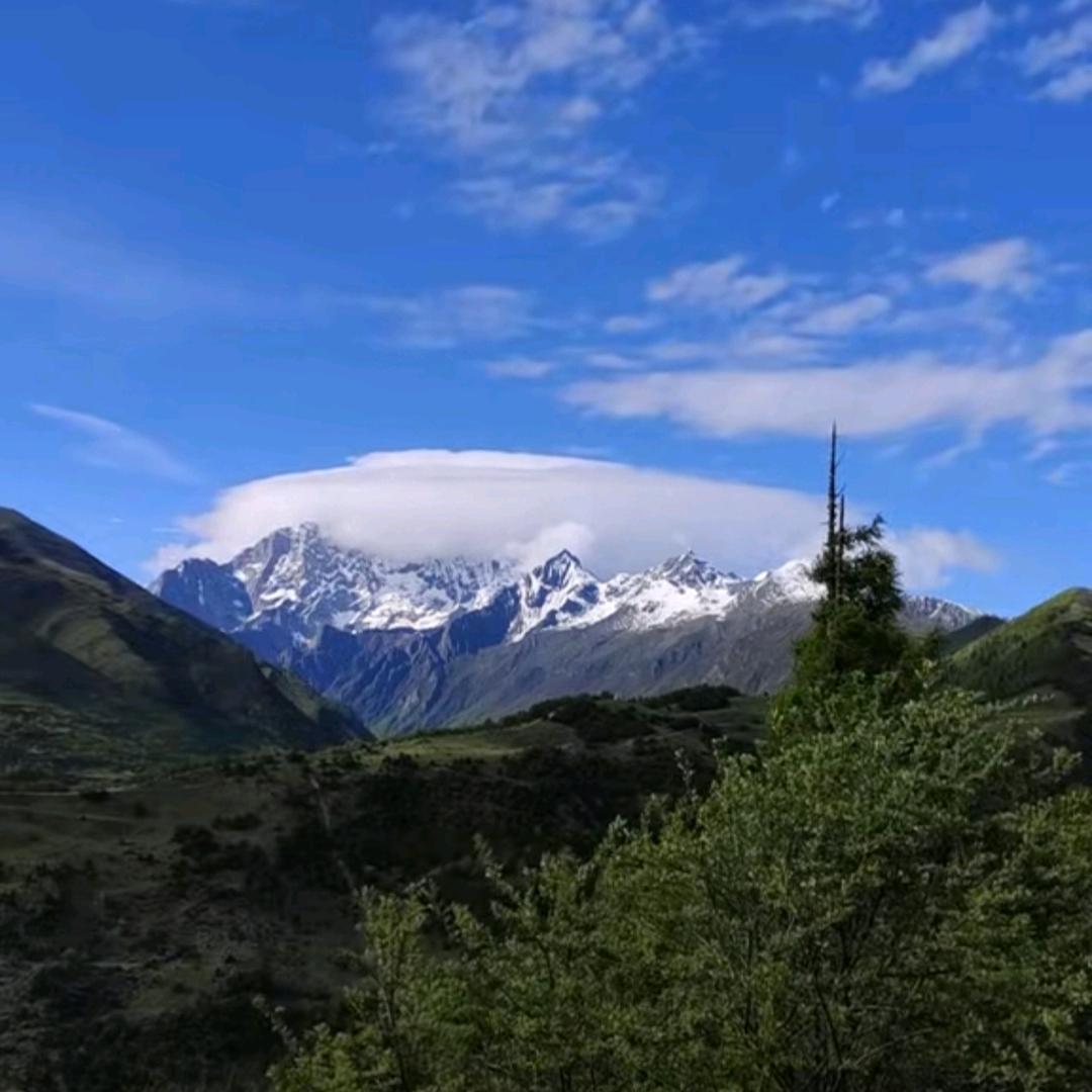 高高