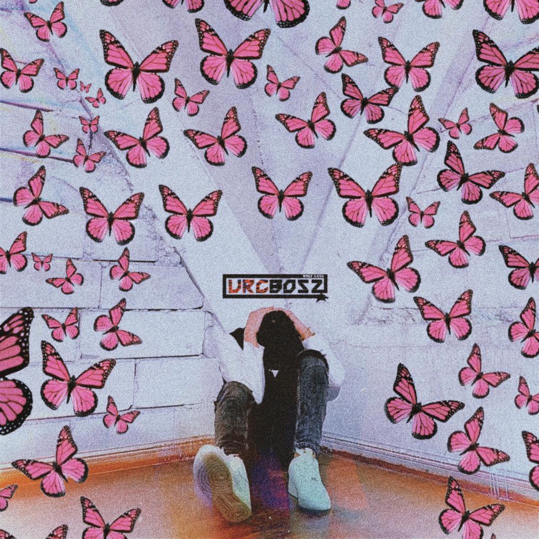 尔兰💤