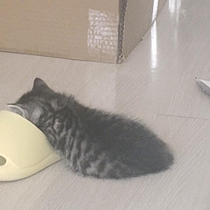 点点滴滴