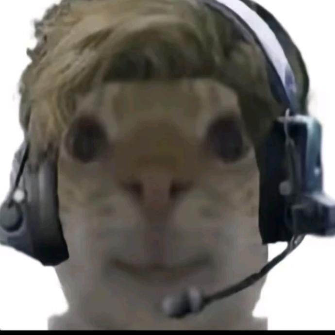 陌离（只接个人板板）