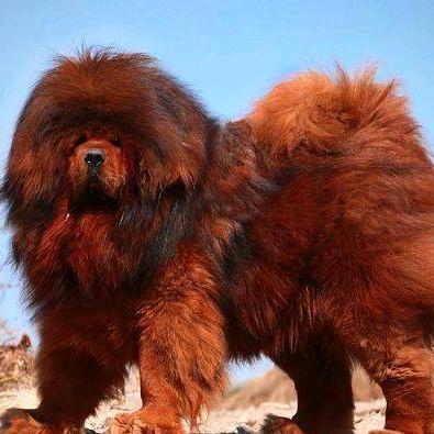 做个有梦想的人