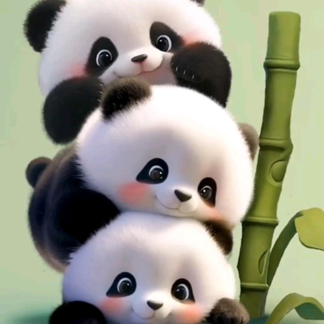 晓月