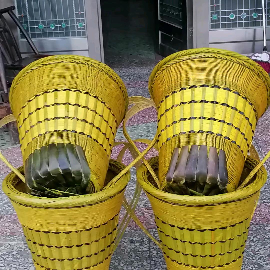 春夏秋冬