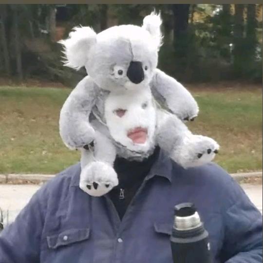 炸弹猫.