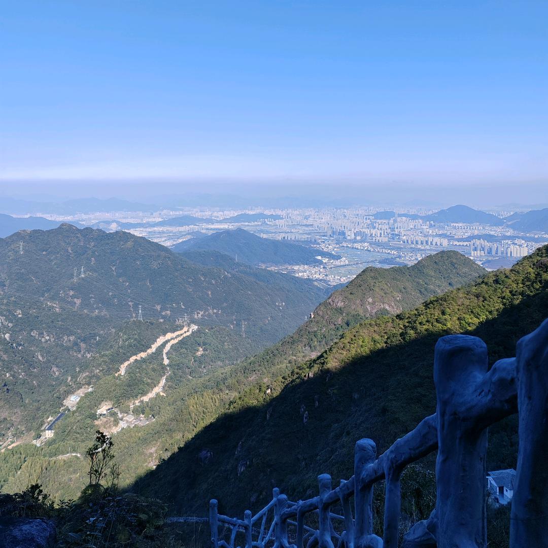 麦田/