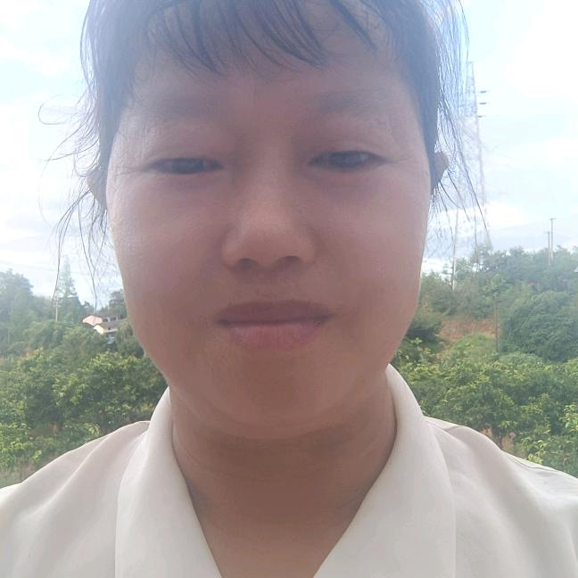 楠木爱媛何芬