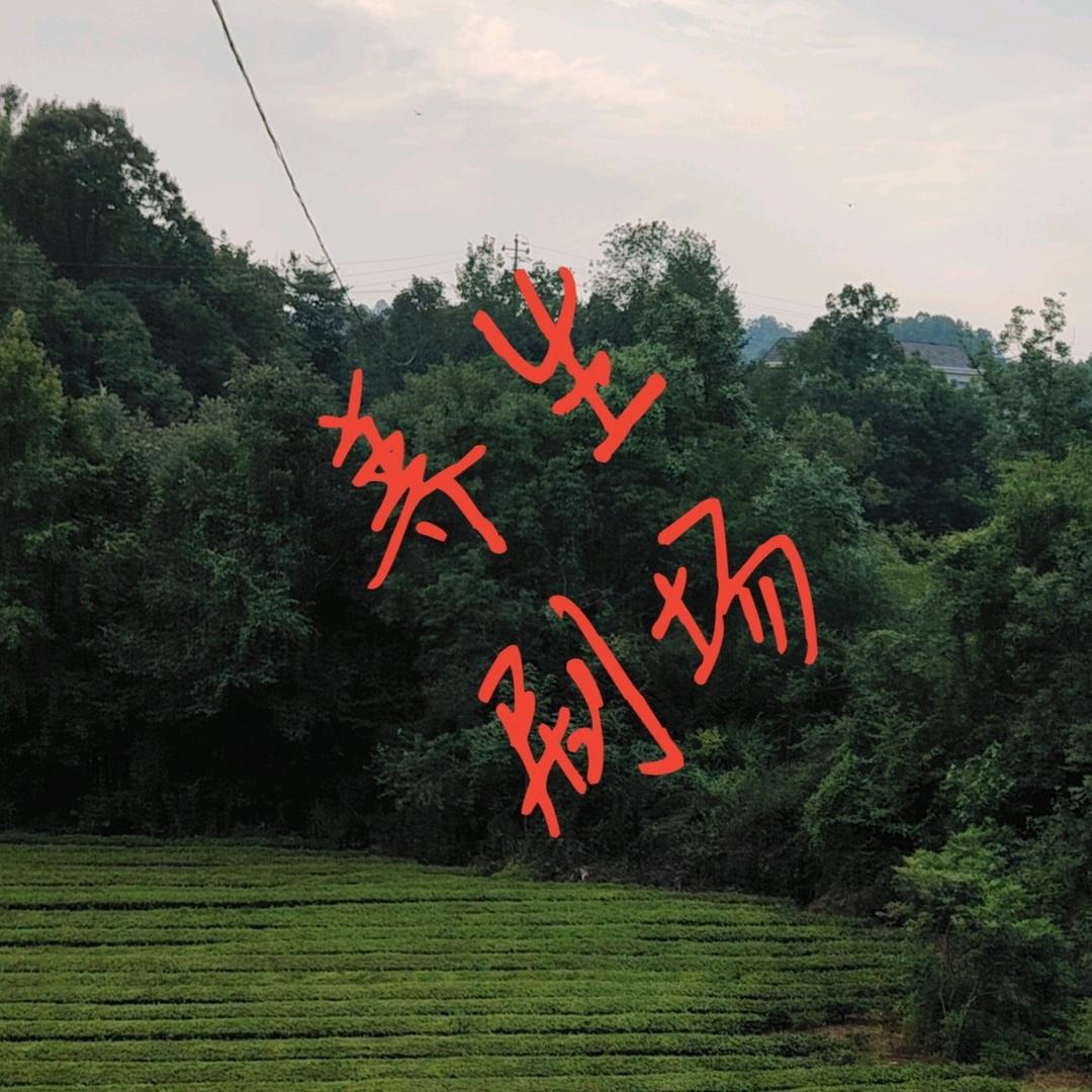 养生剧场