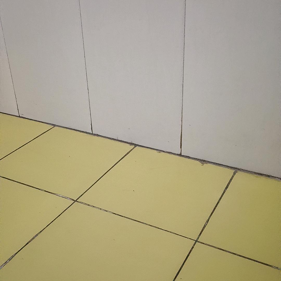 知心朋友