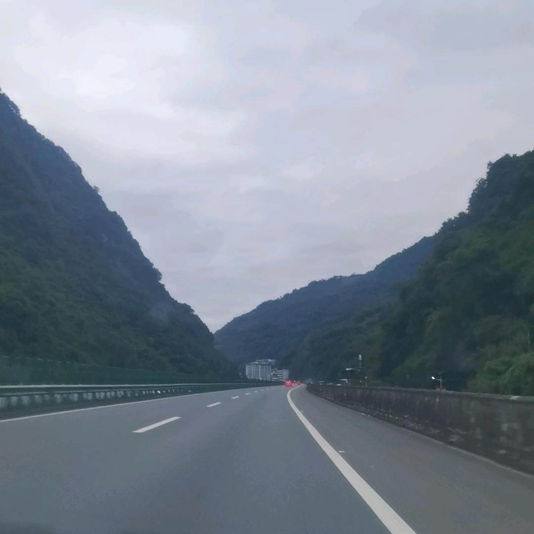 木煮酒，