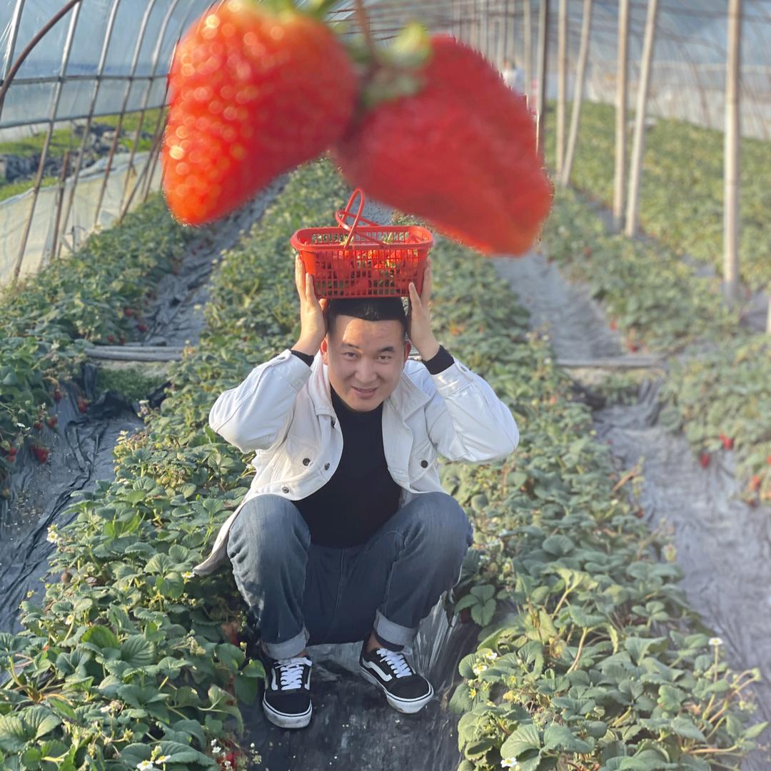 银口商贸
