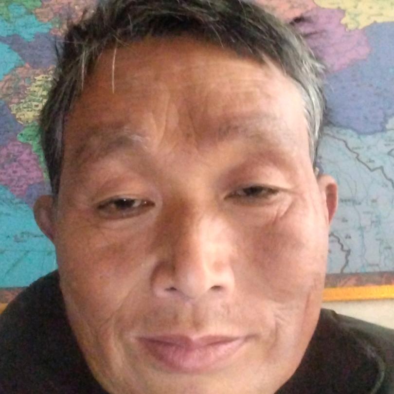 河南阳哥