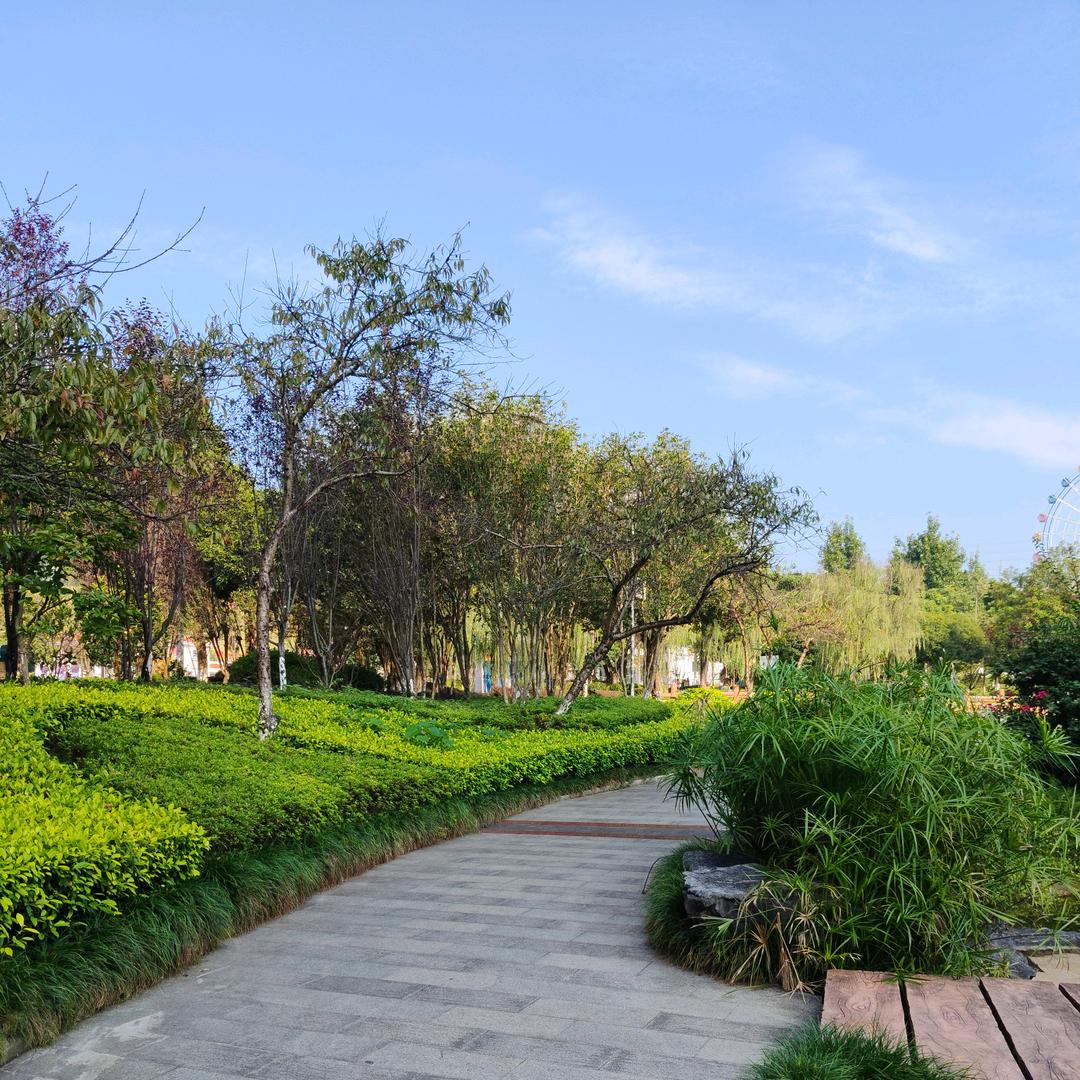 小汤圆