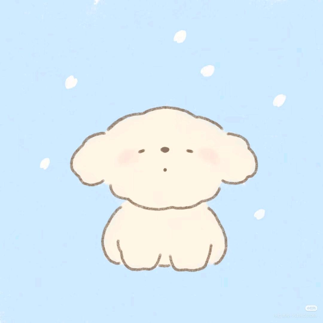 IRIS淋雨熙
