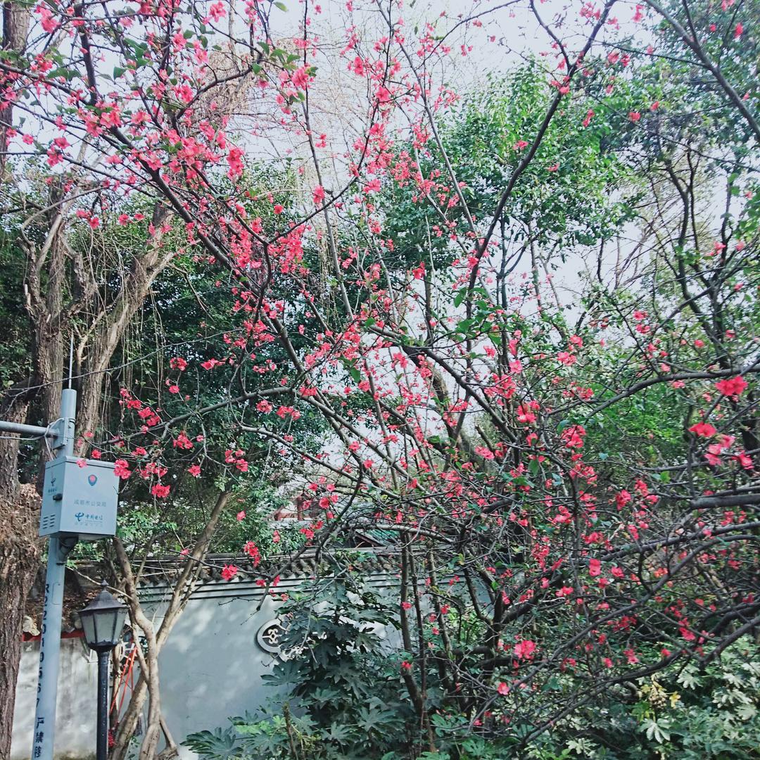 好好爱自己