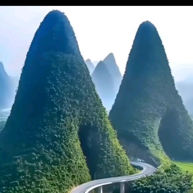 《悟》